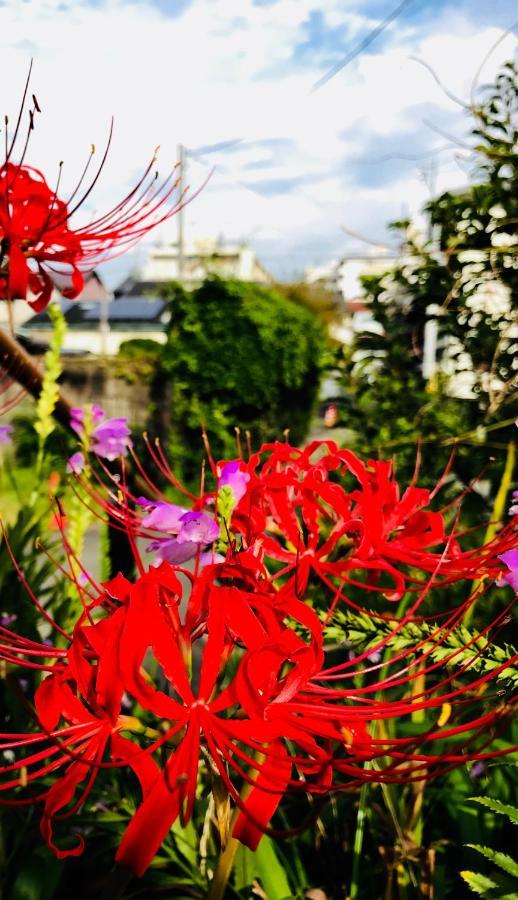 Maison d'hôtes 小川旅馆 Ogawa 小川ゲストハウス